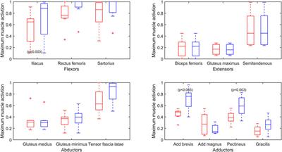Characterization of muscle recruitment during gait of bilateral transfemoral and through-knee persons with limb loss